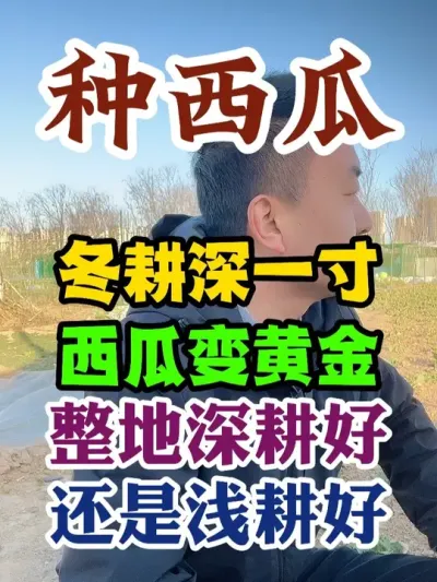 西瓜冬耕深一寸明年西瓜变黄金整地应该深耕还是浅耕 #西瓜种植 #西瓜种植技术 #种植小技巧 #传播农业小知识