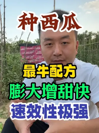 种西瓜最牛配方膨大增甜快速效性强 #西瓜种植 #农业种植技术 #种植小技巧 #传播农业小知识 #分享农业知识帮农民增产增收