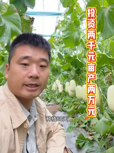 Ͷ��2ǧԪ��Ķ��2��Ԫ�����Ʒ�������ֹ����������ָ߲�����ζ����Ŀ��#ԥ��� #ԥ����� #ũҵݪֲ���� #��Ƥ��� #���