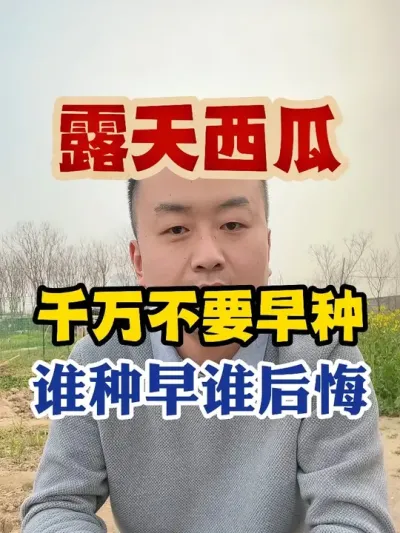 露天西瓜千万不要早种谁早种谁后悔 #西瓜种植 #西瓜种植技术 #种植小技巧 #传播农业小知识