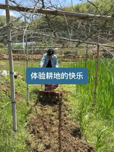 五一劳动节来了几个粉丝，带他们体验一下耕地的快乐 #新农人计划2025 #这就是村里的劳动节