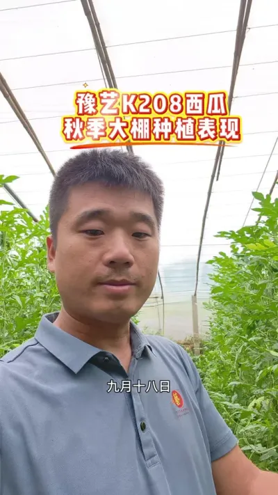 �＾��������Ʒ����ô������֪��ʲô����Ʒ�ָ��ʺ�������#ԥ��K208#ԥ������ #������ #����