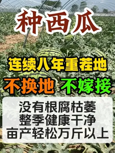 һ��8���ز������ϲ����ز��޽�����û����Ķ��������� #����ݪֲ #����ݪֲ���� #ݪֲС���� #����ũҵС֪ʶ