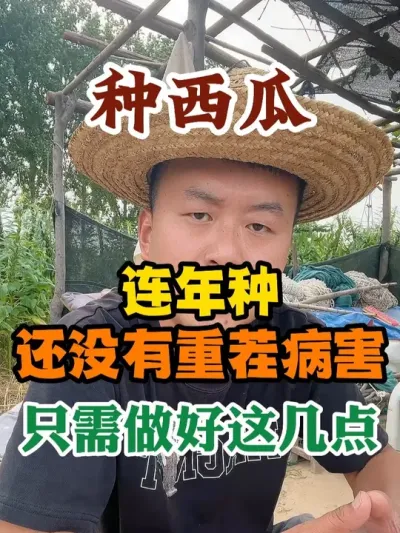 ����������ݪֲ��û���ز粡��ֻ�������⼸�� #����ݪֲ #ũҵݪֲ #ݪֲС���� #����ũҵС֪ʶ #����ũҵ֪ʶ��ũ����������