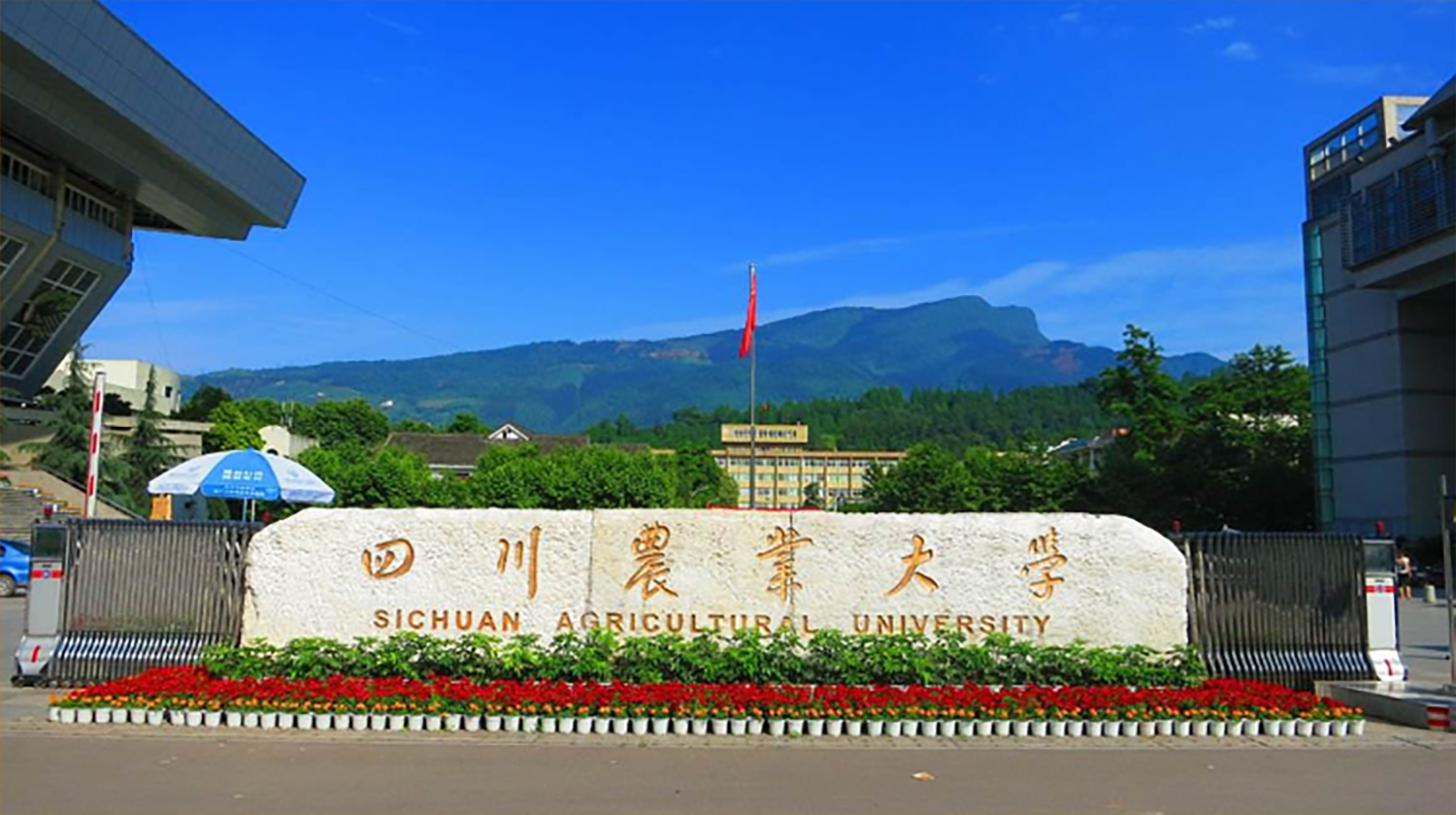 合作共进