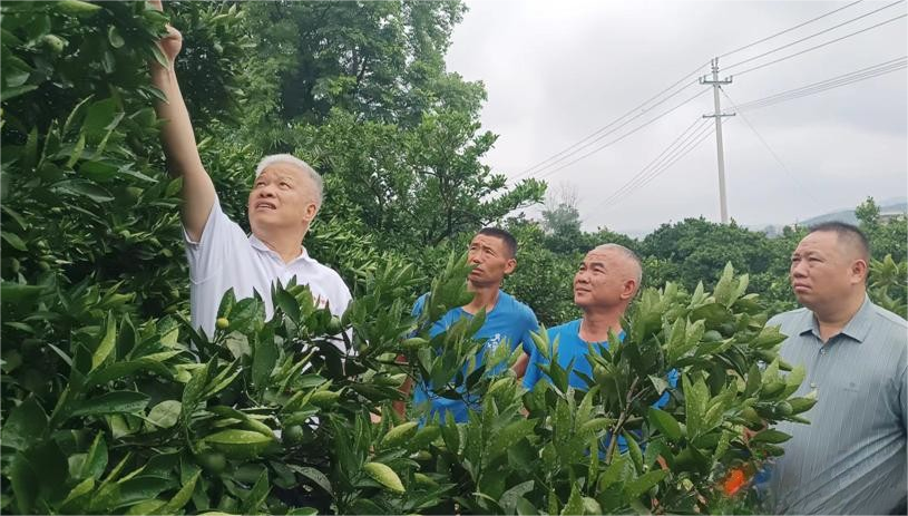 不明确的