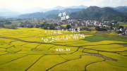 【客户案例】丰农故事VOL.41 “小”米粒“大”托管,“链”上现代新