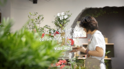 【客户案例】丰农故事VOL.42一把剪刀剪出诗情画意 ,90后女匠人的盆景之路