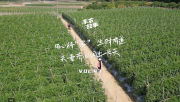 【客户案例】丰农故事VOL.43用心待“客”生财有道,夫妻齐心闯出一片天