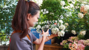 【客户案例】丰农故事VOL.44 用鲜花为热爱代言,90后女孩的“花”样态度