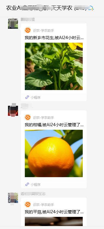 ŵ88(й)ٷվ
