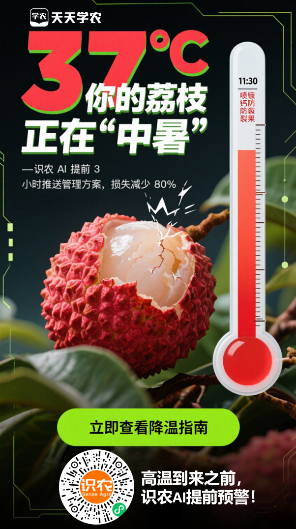ŵ88(й)ٷվ