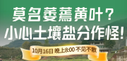 【细说农技】10月16日 晚上8点直播讲解：莫名萎蔫、黄叶？小心，是“土壤盐分”在作怪！