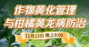 《细说农技》梁恩发分享黄化管理 + 黄龙病防治案例,11 月 13 日晚 8 点!