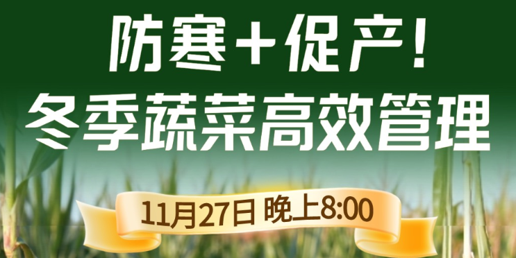《细说农技》专家张宝林教冬季蔬菜防寒 + 促产高效管理，27 日晚 8 点！