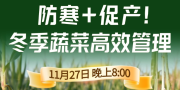 《细说农技》专家张宝林教冬季蔬菜防寒 + 促产高效管理，27 日晚 8 点！
