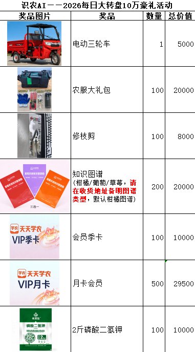 �ŵ�88��(�й���)�ٷ���վ