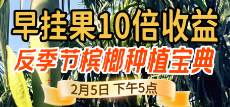 《细说农技》王洪雨亲授！别人种槟榔赚辛苦钱，他靠反季节技术年入百万？2 月 5 日揭秘